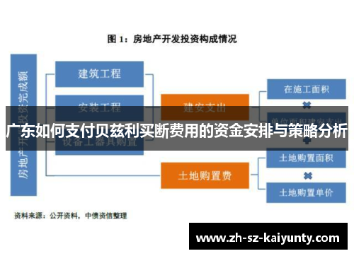 广东如何支付贝兹利买断费用的资金安排与策略分析