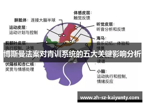 博斯曼法案对青训系统的五大关键影响分析