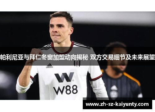 帕利尼亚与拜仁冬窗加盟动向揭秘 双方交易细节及未来展望