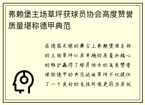 弗赖堡主场草坪获球员协会高度赞誉质量堪称德甲典范
